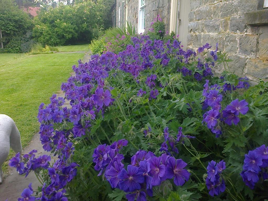 Barmoors Bed and Breakfast Lastingham Exteriör bild